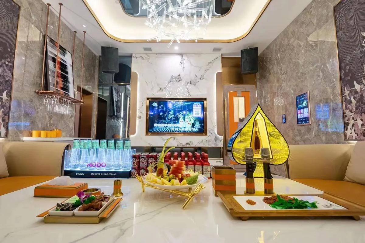 天津商务ktv环境怎么样商务ktv有没有推荐-武清区ktv预定